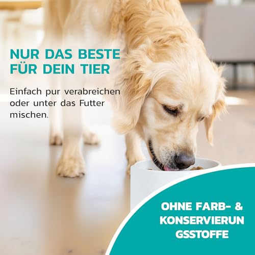 Liquidocare Immun 180 ml – Ergänzungsfuttermittel für Hunde & Katzen – Flüssiges Tonikum zur Stärkung des Immunsystems – mit Sonnenhut & Taigawurzel, frei von Konservierungsstoffen