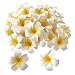 Produktbild Tiamu 100Pcs Künstliche Frangipani Blumen, Hawaii Schaumstoff Plumeria Köpfe, Plumeria Blüten Haarspange, DIY Frangipani Hawaii Frangipani Kränze für Hochzeits Haarklammer Beach Party