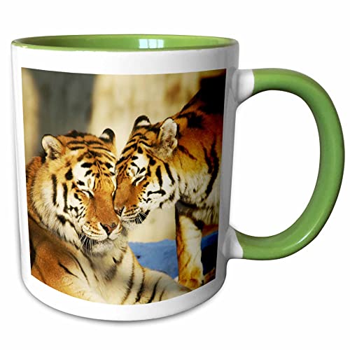 3dRose Image of Tigers 11oz Two-Tone Green Mug