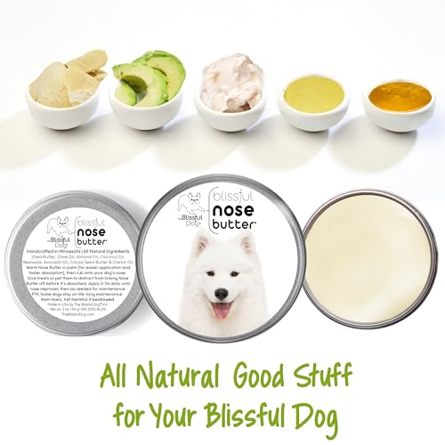 Image of The Blissful Dog Samoyed Unscented Nose Butter - Dog Nose Butter, 16 Ounce