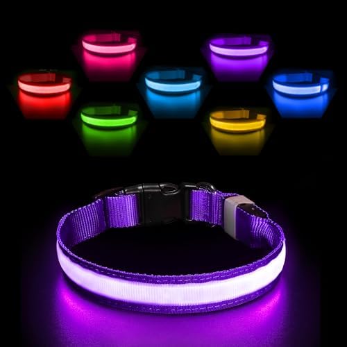 PcEoTllar Leuchthalsband Aufladbar, Einstellbar für Hunde, Lila-M | LED Halsband mit 7 Farben & Blinkmodi. Aufladbar, wasserdicht & verstellbar für kleine bis große Hunde.