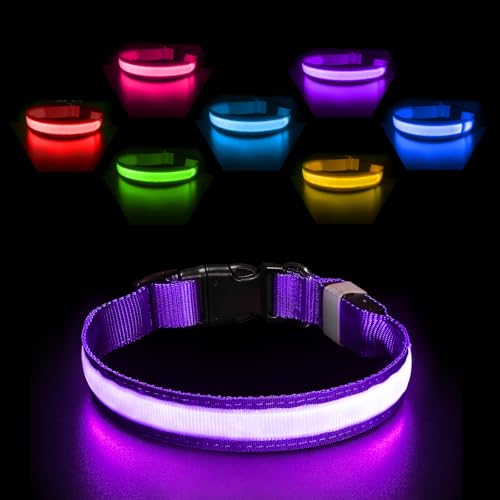 PcEoTllar - PcEoTllar Leuchthalsband Hund Aufladbar, Hundehalsband Leuchtend Wasserdicht, Blinkend LED Halsband für Hunde mit 7 Farben, Einstellbare LED Hundehalsband für Kleine Große Hunde, Lila-S - -28%