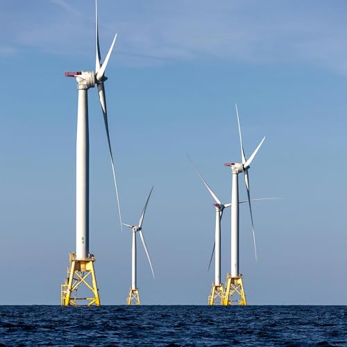 Environmentalists Perplexed by Trump Administration's Decision on Offshore Wind Projects