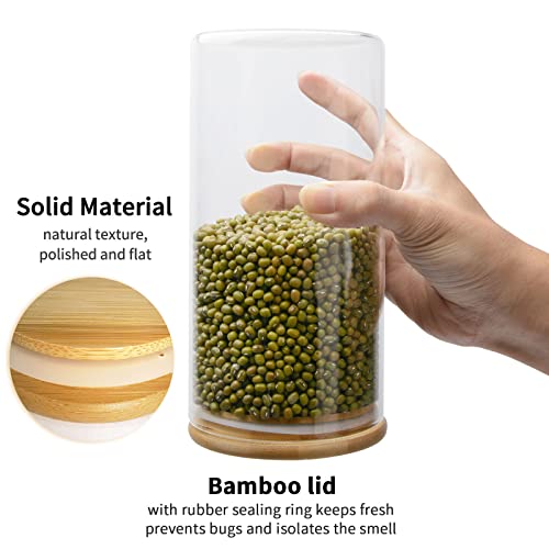 Athyior Set di 4 Barattoli in Vetro con Coperchio