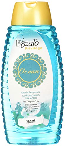 See full amazon price history chart for Lozalo Privilege Ocean Conditioning Shampoo for Dogs & Cats, 750 ml Lozalo Privilege Ocean Conditioning Shampoo for Dogs & Cats, 750 ml (B08QX3H7HL) Amazon Price History, Amazon Price Tracker