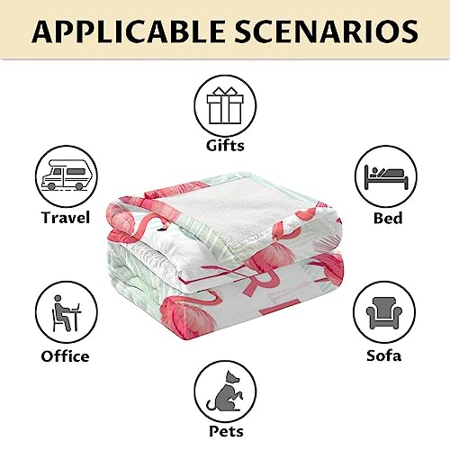 Personalized Flamingo Blanket Gifts with Name - 30x40 Inches Cute Throw for Women & Girls - Pink Soft Fuzzy Blankets for Couch & Office