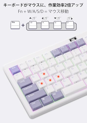 NiZ PLUM L84紫RGB の商品画像 6