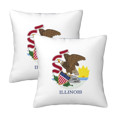 Housse de coussin imprimée drapeau Illinois pour lit et canapé extérieur - 2