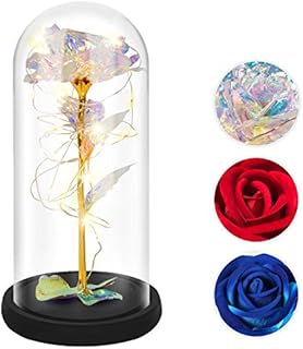 RECUTMS Gold Rose,Beauty and the Beast,Gold Foil Flower Colorful Artificial Forever Rose LED Light Infinity in Glass Kit Gift for Her,Anniversary,Birthday,Decoration