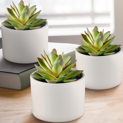 SEEKO Succulents Artificial in Ceramic Pots- Set of 3 Realistic & Beautiful Fake Succulents for Desk Decor, Office Plants, Bathroom Shelf Decor, Succulent Decor and Table Decor (Smooth White Pot)