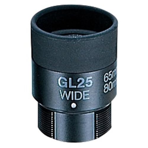 Oculaire Vixen GL25 Wide haute transmission pour des images de nébuleuses nettes
