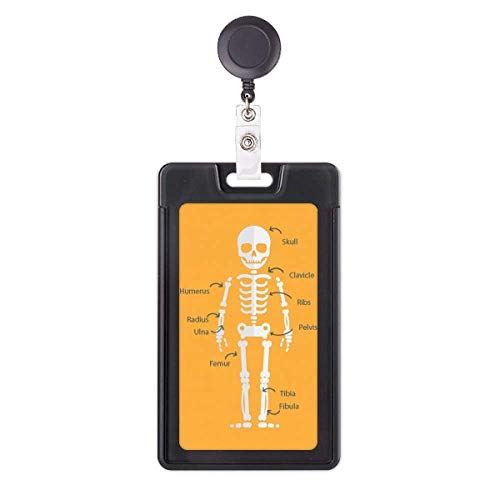 Porte-badge rétractable os humain pour badge de soignant