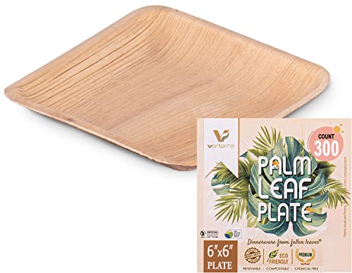Compostable Palm Leaf 6-inch Square Disposable Plate, Heavy Duty,...