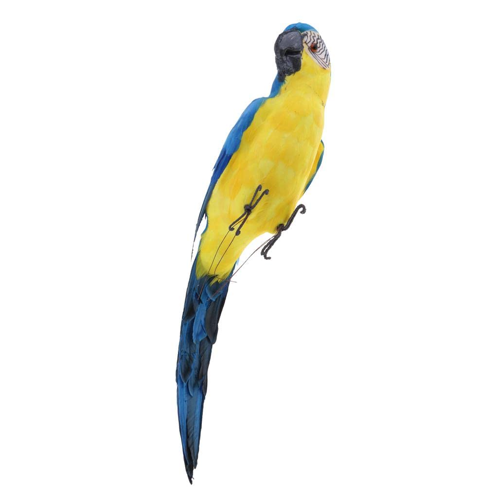 Royal Large Artificial Parrot Bird Realistic Home Decor Budgie Taxidermy Blue (60015009TRD)
