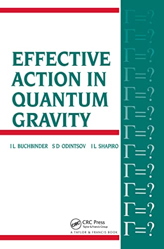 Effective Action in Quantum Gravity view 2