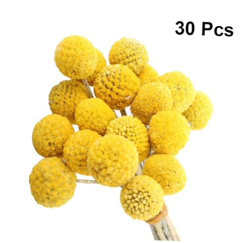 30 tallos de flor seca Craspedia amarilla natural LIFKOME miniatura 4