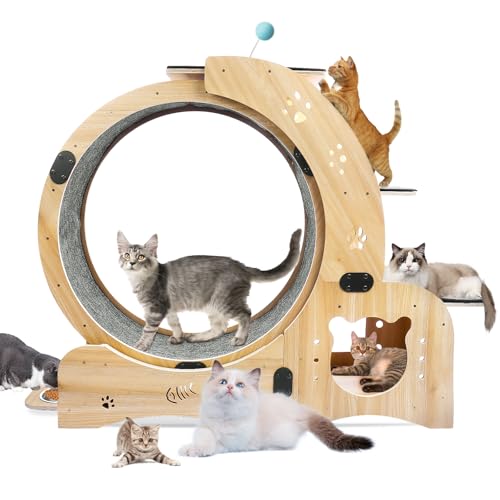 Cat Wheels for Indoor Cats, Large Cat Running Wheel, 6 in 1 Ultra Quiet Cats Exercise Wheel, Easy to Install