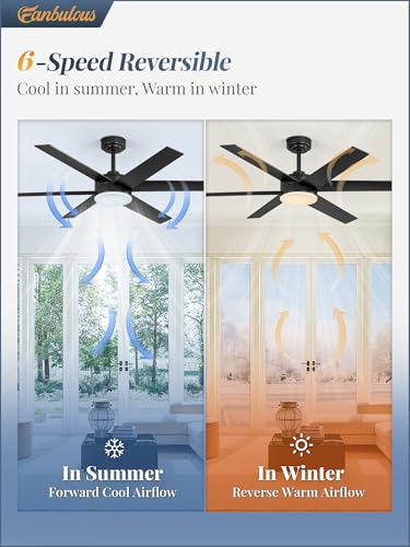 Image of Fanbulous 52 inch Outdoor Ceiling Fans with Lights, Dimmable 3CCT, Black