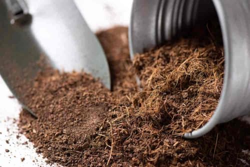 Image of 10 Kg Coco Peat Powder for Plants | Natural Coconut Coir Pith | Improves Soil Aeration & Moisture Retention
