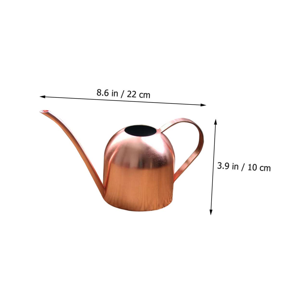 Acciaio Inox Annaffiatoio 500ml Beccuccio da Giardino