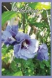 Purple lilac Clematis flower picture notebook: Wide lined flower notebook