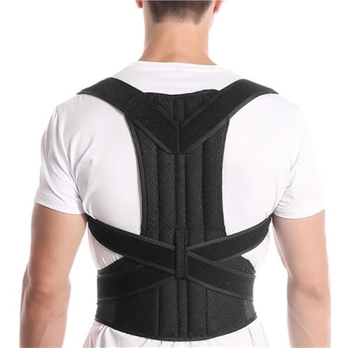 vXTCY XS`5XL obNu[X p jp Ғ^ǁELwxg EET|[g Ōpg[i[(M)