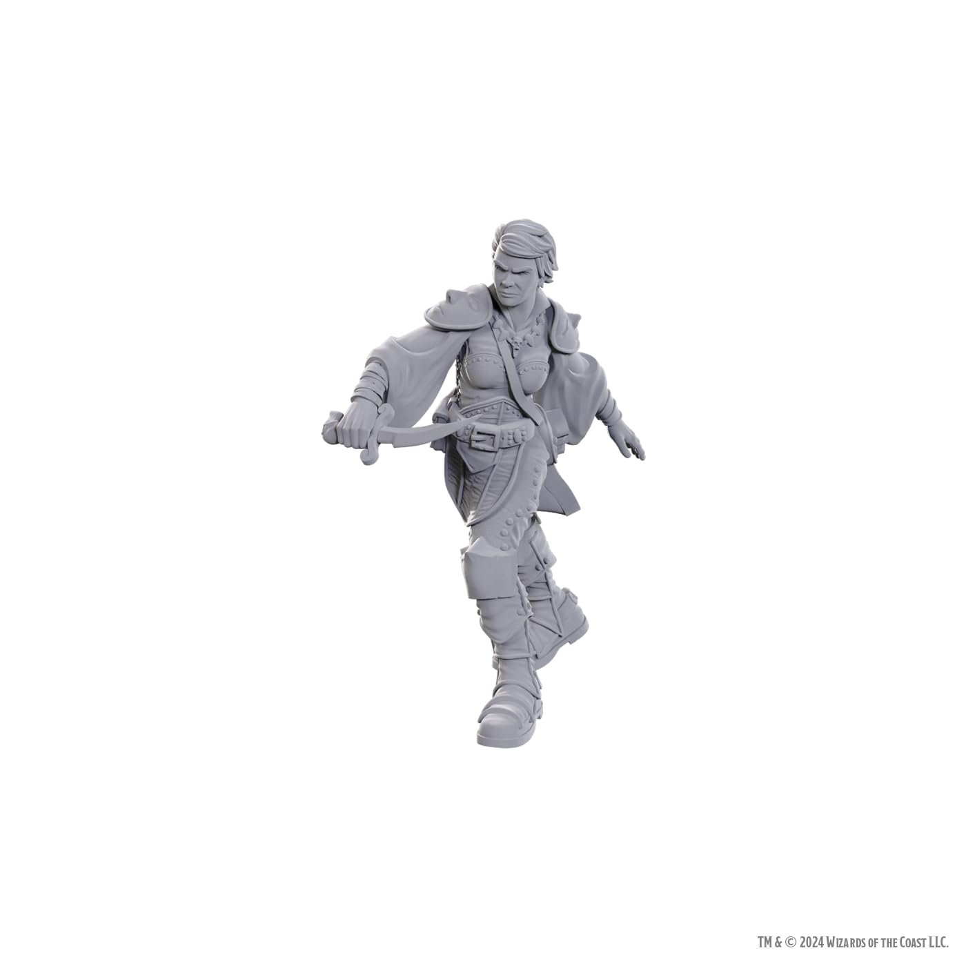 Wizkids - D&D Nolzurs Marvelous Miniatures: Wave 25 - Swashbuckler