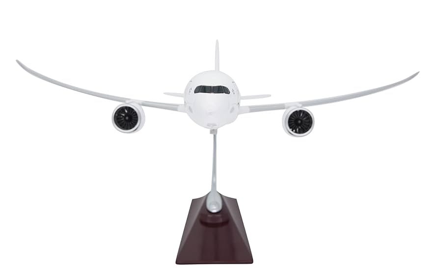 Amazon | TANG DYNASTY 1/130 43CM 全日空 ANA ボーイング B787