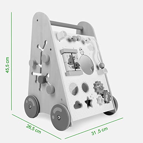 Giocattolo per imparare a camminare ~ Activity