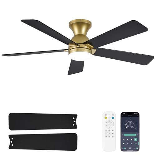 Dolavast 48 Inch Ceiling Fan with Lights and Remote