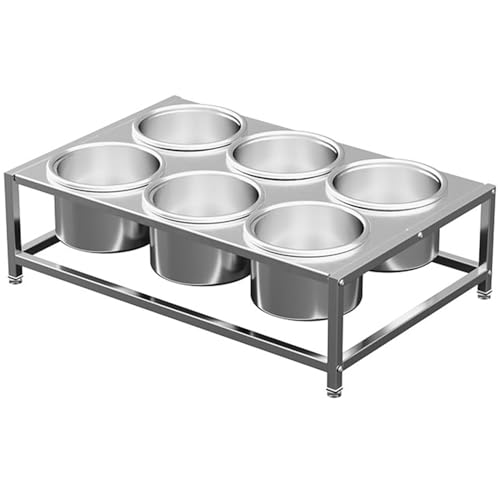 ZXHKZDX Acero Inoxidable 304 De 2 Filas Soportes para Botes De Especias Especiero con Tapa, Encimera Organizador Especias, Almacenamiento De Especias Tarros(Silver/A,22.4X14.6X5.7IN)