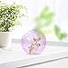 POPETPOP Hamster Exercise Ball, 4 Inch Hamster Running Ball Transparent Plastic Wheel Guinea Pig Sports for Dwarf s Small Pets Supply Pink
