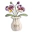 B-phalaenopsis-healing Purple