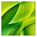 Produktbild Apalis Vliestapete Green Composition, HxB: 336cm x 336cm