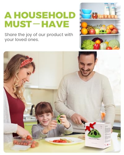 Purriko Fridge Deodorizer,Last up to 10 Years,Refrigerator Odor Eliminator,Fridge Smell Eliminator,More Effective than Baking Soda and Bamboo Charcoal Air Purifying Bags,Green