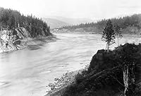 C. G. Pringle: Botanist, Traveler, and the “Flora of the Pacific Slope” (1881–1884) (120) 0893275565 Book Cover