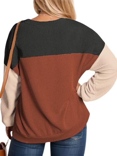 Image of DOLNINE Plus Size Tops for Women Long Sleeve Color Block Ribbed Knit Tunic