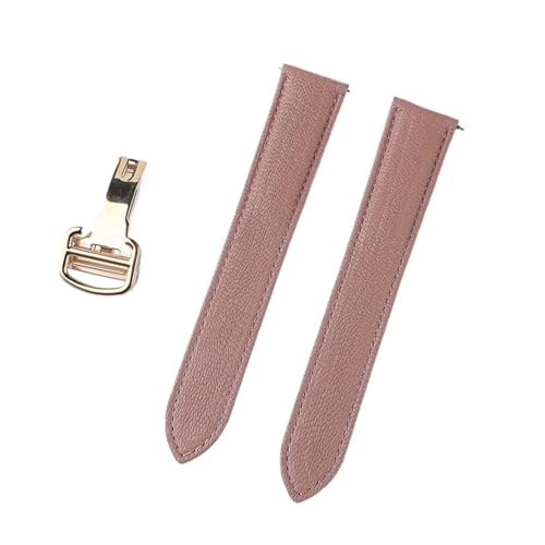 JeBG h \ RNV S[gXLU[ EHb`XgbvijpA18`20mm̎vɑΉj