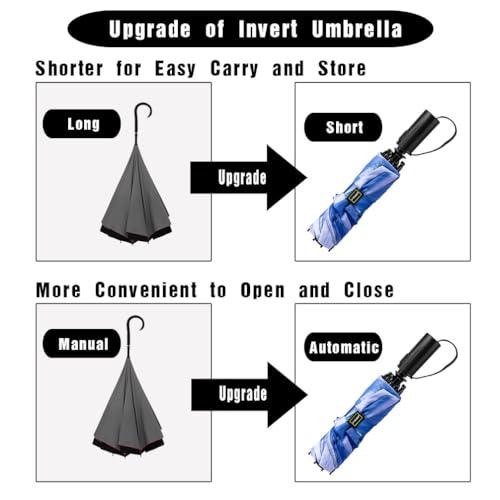 Image of LANBRELLA Portable & Folding Travel Umbrella, 3 Fold, Auto Open Close, Water Resistant, Windproof, with Carrying Handle