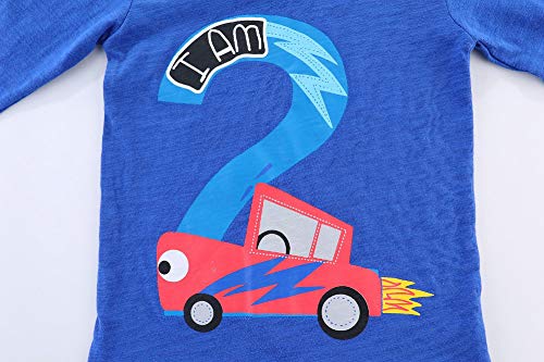 Image of Mud Kingdom Little Girls Birthday Shirt Long Sleeve Cute Cartoon