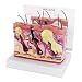 Skin Acne Anatomical Model Normal/Acne Cross-Section