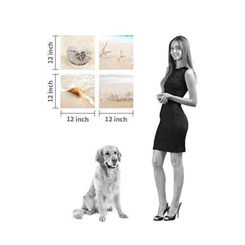 Seashell Canvas Wall Art Print: Rustic Starfish Graphic Artwork Painting on Canvas for Wall Decor for Bathroom (12''x12''x4pcs) - Image 6