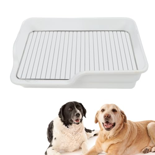 Hundeköpfchenschale flach leicht zu reinigen verschüttet Proof Edelstahl Gitter Hundetraining Toilette für kleine mittelgroße Hunde (White)