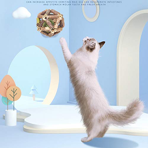 2 Stück Spielzeug mit Katzenminze, Zähne Knirschen Kauen Katzenminze Spielzeug für Katze, Naturholz Rollen Ball, Katze Interaktive Spielzeug, Steigerung des Appetits und Reinigung des Mundes