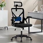 Office Chair,Ergonomic Desk Chair with Adjustable Lumbar Support,400 Lbs Mesh Computer Chair High Back with Headrest for Home Office (Black)