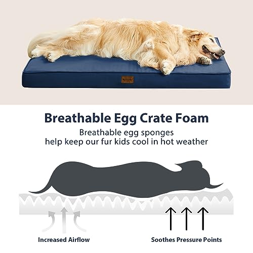 Lit pour chien lavable grand format contre l'humidité