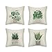Produktbild MIGUOR Set mit 4 dekorativen Kissenbezügen aus Baumwollleinen, quadratisch, Pflanzen und Tiere, Kissenbezug für Sofa, Couch, Bank, Bett, Auto, 45,7 x 45,7 cm (Sukkulenten 1, 45,7 x 45,7 cm)