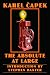 The Absolute at Large (Bison Frontiers of Imagination)