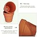 KOAMLY 3 inch Plant Nursery pots Number of Items in a 20 Pack, with Drain, Succulent Seedling Planter, use with Indoor, windowsill, Terra Cotta red Flower pots Wedding Decoration Best Gift for Aunts