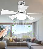Alljia Ceiling Fans with Lights and Remote, 40W E27 Small Ceiling Fan Light 2H/4H Timer, Dimmable, Quiet 3 Speed Fan with Light for Bedroom Living Room, 0.55kg